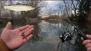 WADING TO DEEP TROUT HOLES IN THE WINTER! We found the Honeyhole!