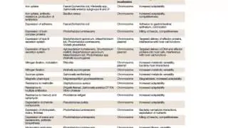 Bio305 Bacterial Genome Dynamics and Evolution