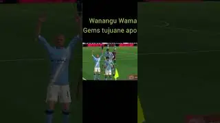 Mdogo mabwe Mkali wa Gem