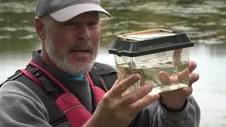 Conservation Kids - Robert Edmonson - Where do frogs live?