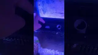 Уровень воды в рифовом аквариуме колеблется!