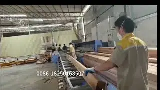 STR Optimized Cross Section Saw