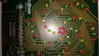 Flower Led Display