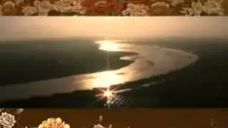 田华《洛阳牡丹》 MV