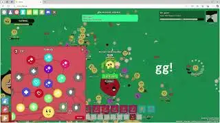 Touched - florr.io