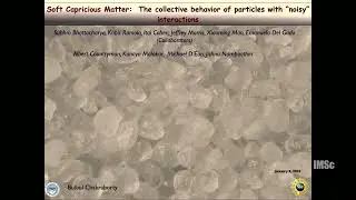 Soft Capricious Matter: The collective behavior of particles with &ldquo;noisy&rdquo; interactions