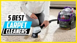 5 Best Portable Carpet Cleaners for 2026