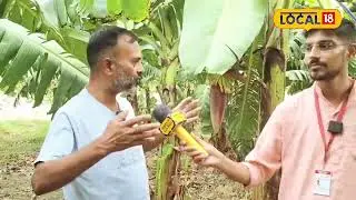 Kele ki kheti PG College Gora bazaar,GZP