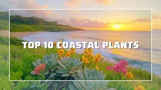 Top 10 Coastal Plants That Thrive by the Sea!