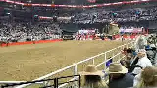 What a Beginning to a Rodeo