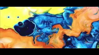 Phobophobes - The Never Never