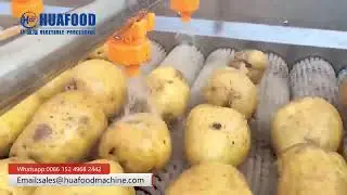 Potato Washing And Peeling Machine With Linear Brush Roller