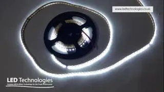 LED Tape ProFlex Cool White Side View 6000-6500 CCT 12v (IP20) 5mtr Roll | 100.519