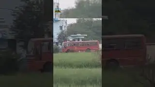 MSRTC Lalpari Sobat हिरवा निसर्ग ...#msrtc#lalpari#stbus#bus