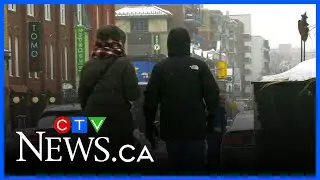 Ottawa snowstorm: 20 cm forecast & parking ban