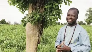 faïda important pour la Cecrèt
