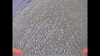 Some more laps with the thugframes pig