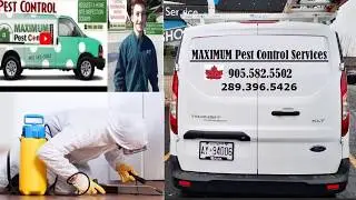 RESIDENTIAL PEST CONTROL SERVICES IN OAKVILLE 905-582-5502