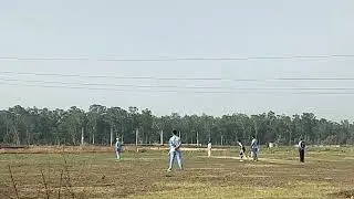 Golden mads vs game changer
