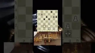 16th World Champion Carlsen VS 14th World Champion Kramnik #throwbackgames #fpschess #pircdefense