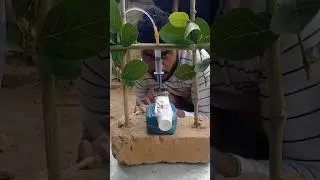 Patanjali Pest Cutting ✂️✂️ New Science Experiment 🥼#experiment #science #shorts #magic