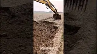 Land clearing: excavator removing tree stumps from field with rake attachment for agriculture