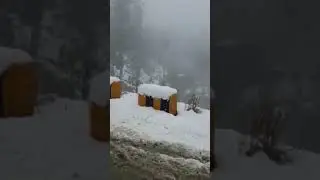 Winter is Coming | Viral Tiktok Short Video 2022 | #shorts #viralshorts #tiktokshorts #snowfallvideo