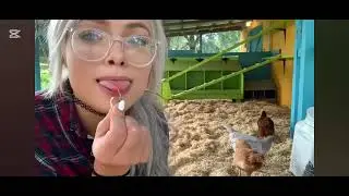 Clean my chicken house with me