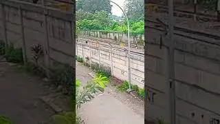 KA LORI TATA TRANSIT BUNGA MAS MEMASUKI LAHAT #DIVRE3-+11:01