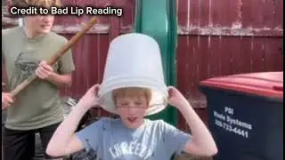 Recreation of seagulls by bad lip reading