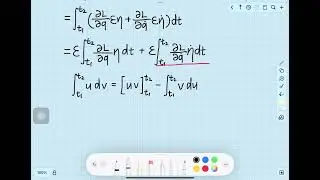 [Physics] Hamilton's Principle & Euler-Lagrange Equation (ZH)