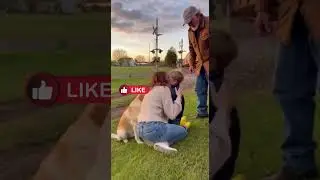 Dog Breaks Free & Runs Toward Train Tracks #animalrescue #humanity #animals