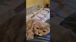 я должен тебя снять
