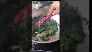 मेथी को साल भर स्टोर करे | How to Preserve Methi leaves | How to store Methi for long time | #shorts