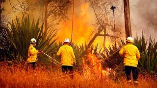 Firefighters on standby across NSW as heatwave continues