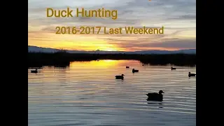 Fowl Assassins: 3 Man Limit on the Last Weekend