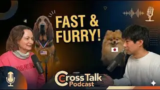 Fast & Furry! The Dog That Joined a Pro Race & Other Viral Blunders