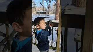 Lol I may have lost my job...My son's Squirrel Hunting now