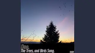 Budding (Trees)