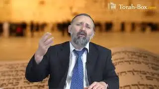 Se remarier ou se sacrifier pour ses enfants ? (Rav Nissim HADDAD)