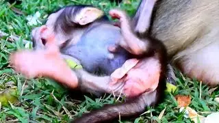 What is happening on Baby Bree ? , Why Baby Bree has situation like this?