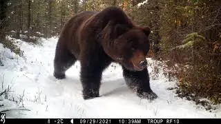 2021 Video Contest - David Troup, Yukon