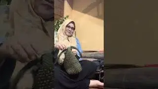 Campur jonggol muali ambroll/bdg/082218782092
