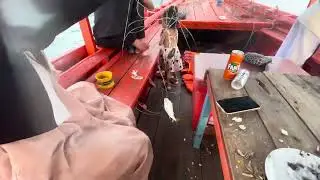 #fishing #fish #fishinglife#catchandrelease#bassfishing#flyfishing#carpfishing