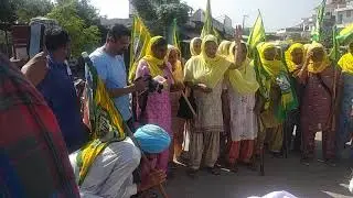 RMP doctor block dhanaula