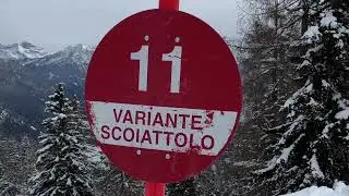 Pista Variante Scoiattolo n&deg;11 - Ski Area Pejo 3000