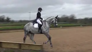 BD Advanced 101 Rachel Lade Royal Diamont