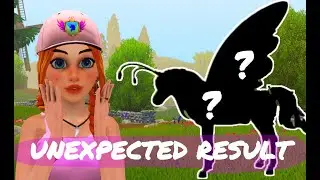 Breeding The RAREST Flutterwing + Update Sneak Peek ~ Star Equestrian [12]