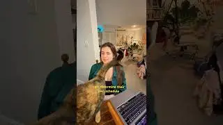 быть больше похожими на кошек