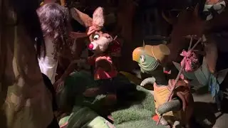 Splash Mountain Disneyland Br&rsquo;er Rabbit & Br&rsquo;er Terrapin Evacuation Footage